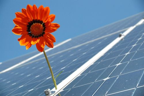 solar photovoltaic renewable
