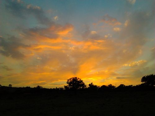 solar clouds tree