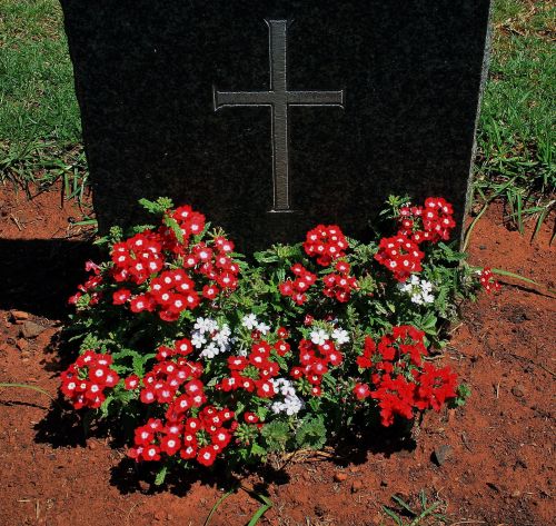 Soldier&#039;s Grave With Flowers