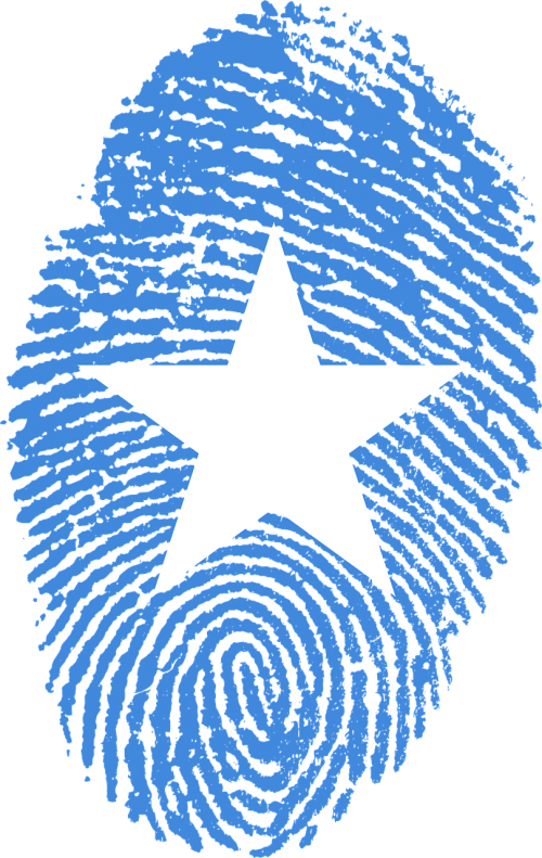 somalia flag fingerprint