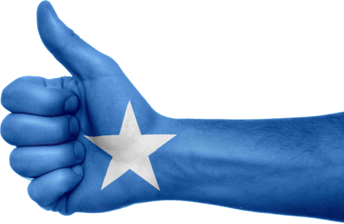 somalia flag hand