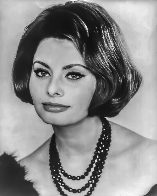 sophia loren female portrait