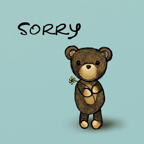 sorry bear teddy