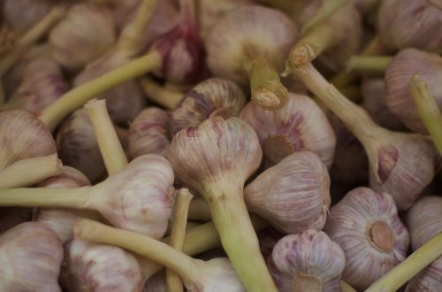 garlic food gourmet