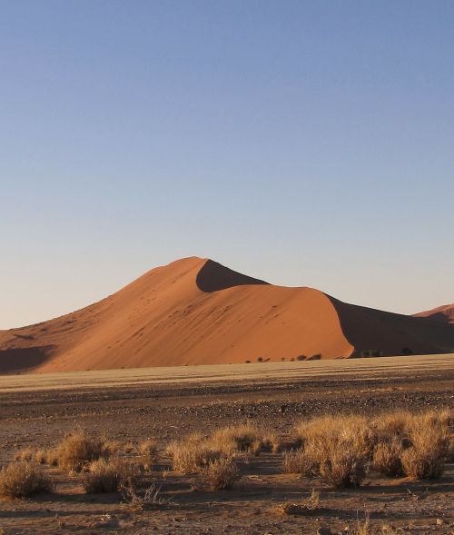sossusvlei dune 45 namibia