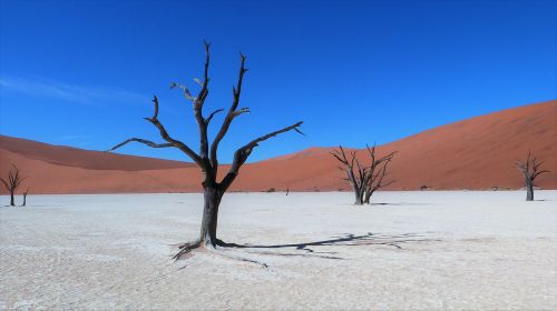 sossusvlei namibia contrasting colours