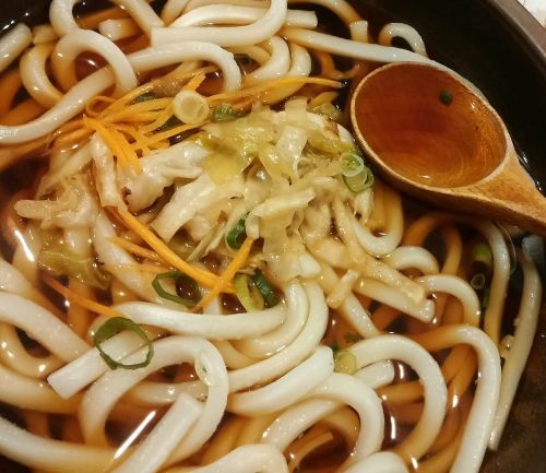 soup noodles udon