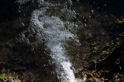 source bach water