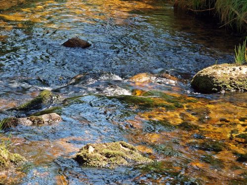 water stones nature