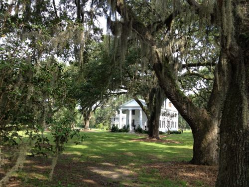 south house plantation