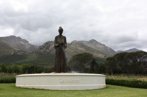 south africa estate of la motte winery