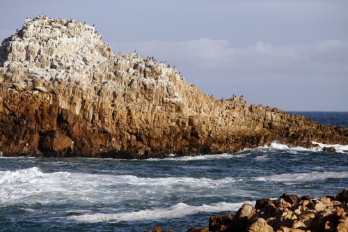 south africa kynsna heads seascape