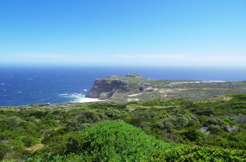 south africa table mountain reserve cape point