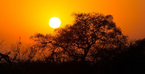 south africa sunrise landscape