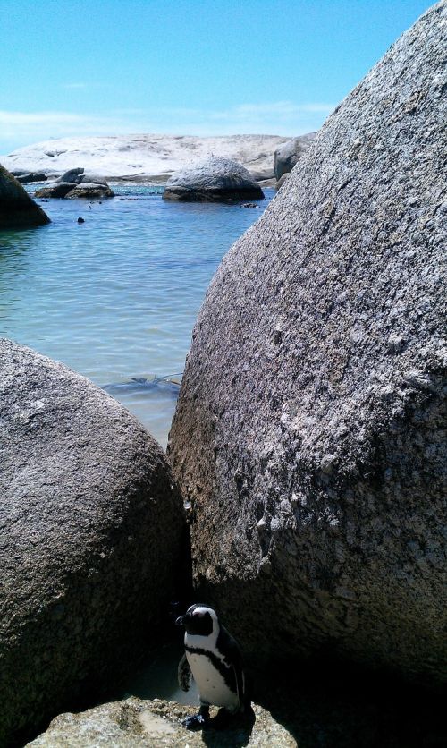 south africa stones beach
