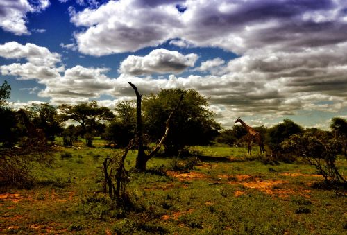 south africa landscape cloud