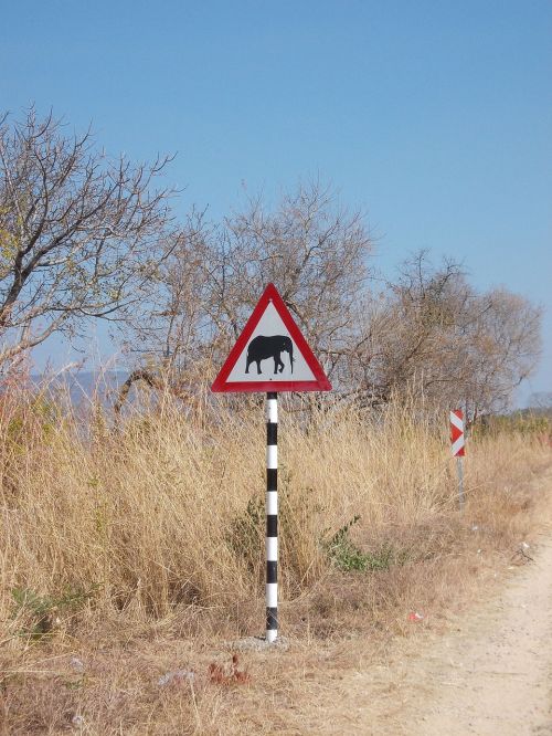 south africa elephant traffic sign