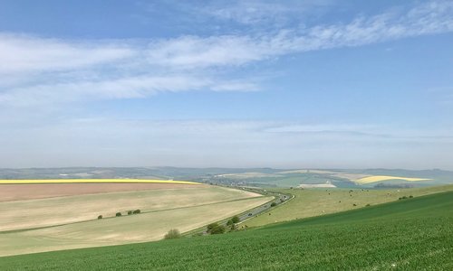 south downs  outdoors  walking