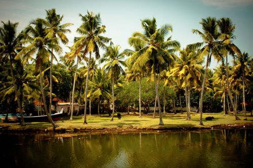 south india backwaters india