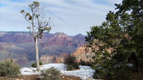 South Rim Grand Canyon Scenic
