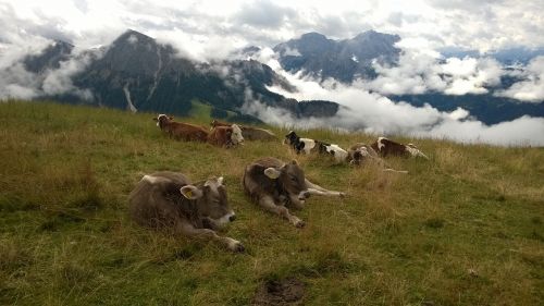 south tyrol alpine mountains