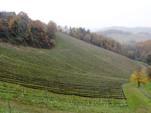 southern styria wine styria