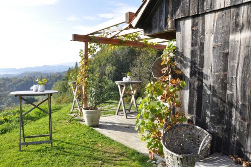 southern styria wine autumn