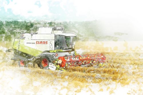 sowing harvest wheat