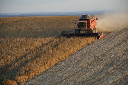 soybeans harvester harvest
