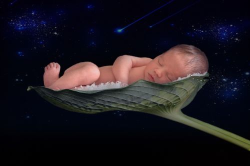 newborn baby leaf space