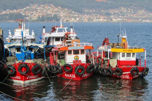 spain galicia boats