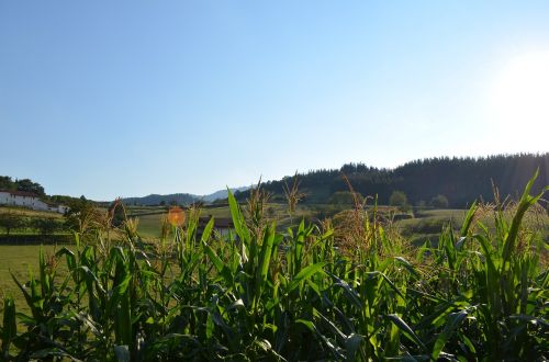 spain nature summer