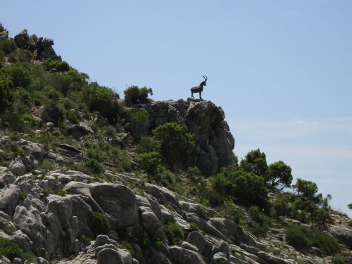 spain landscape andalusia