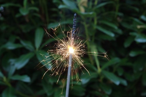 sparkle  green  nature