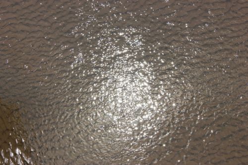 Sparkling Beach Water