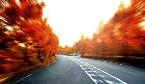 speed the scenery autumn