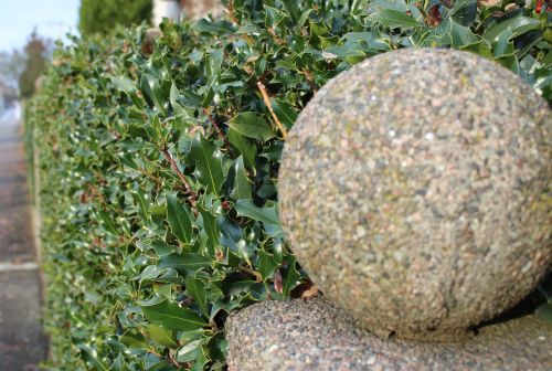 sphere stone balls hedge fence