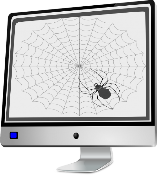 spider computer animal