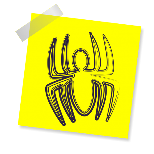 spider insect icon