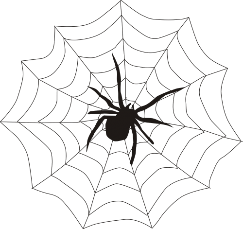 spider spider's web spiderweb