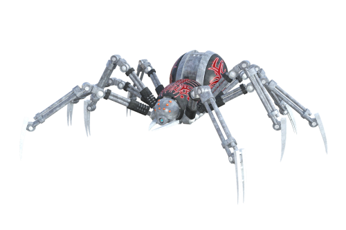 spider arachnid animal