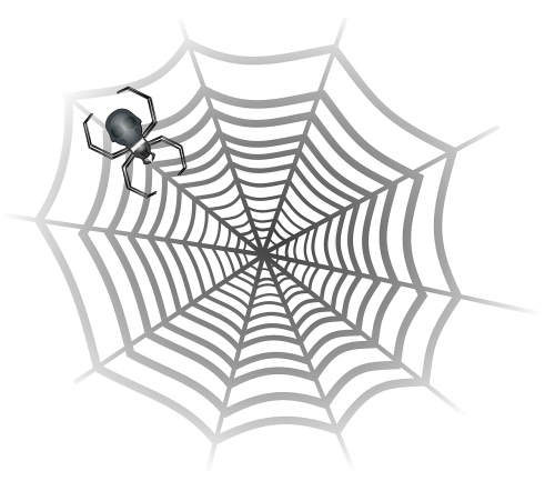 spider cobweb spider web