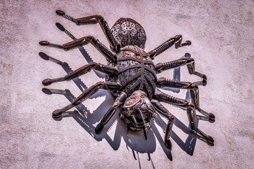spider giant arachnid