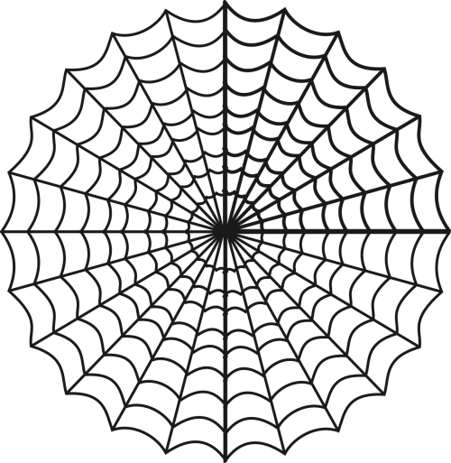 spider web cobweb