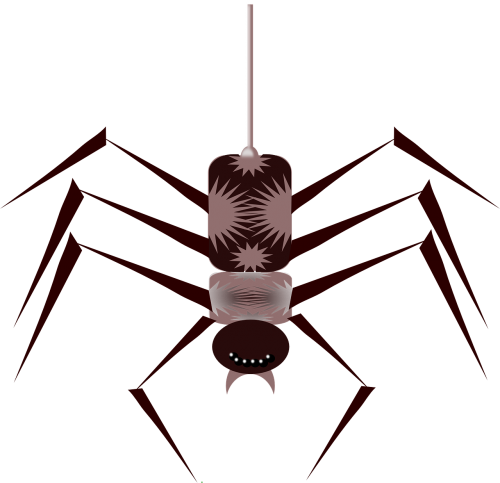 spider bug insect