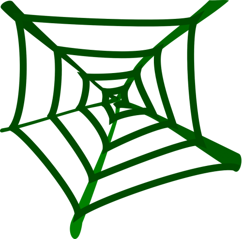 spider web spider sticky
