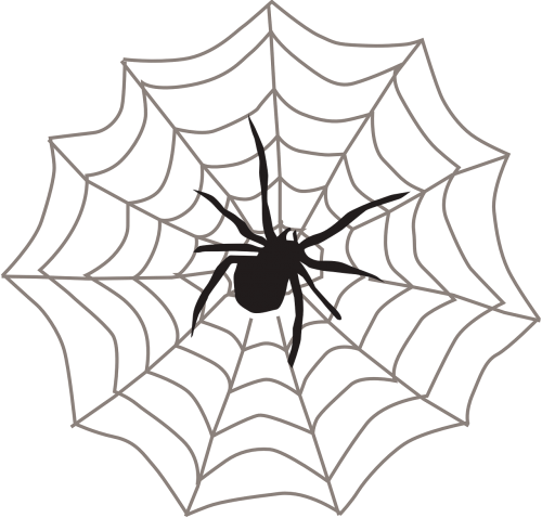 spider web black arachnid