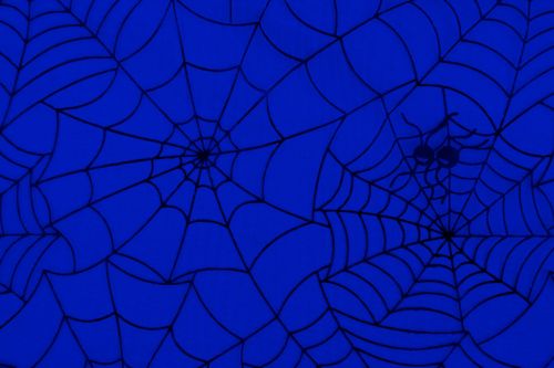 Spider Web Pattern