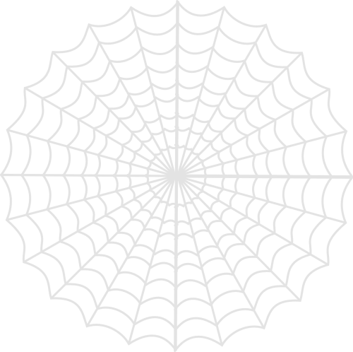 spiders web gray light
