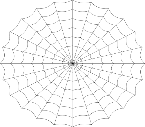 spiderweb cobweb spider's web